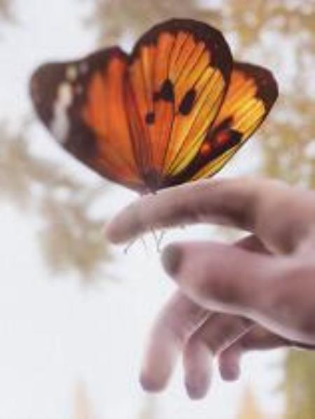 TheForestCathedral免安装绿色版_冒险解谜AVG_英文_绿色版_TheForestCathedral