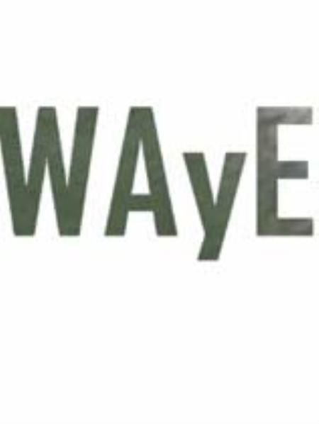 WAyE免安装绿色版_冒险解谜AVG_英文_绿色版_WAyE