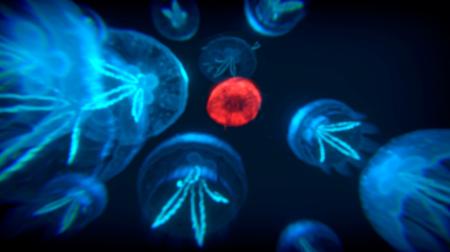 《ZAAM》游戏截图