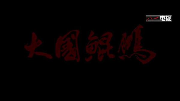 【纪录片】《大国鲲鹏》稀有国产纪录片 空军和国航联合拍摄 (2018)