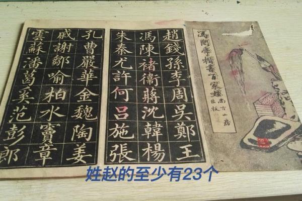 【电子书】中华各姓祖先像传集++8_12218537_北京图书