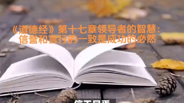 【领导者纵横智慧书】_23-课程-网盘资源分享