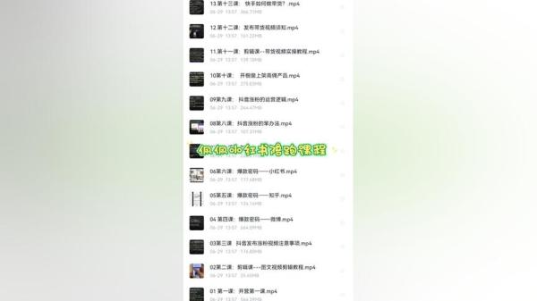 小红书陪跑系列课程，从0-1玩转小红书，开启全新赚钱模_0...-课程-网盘资源分享