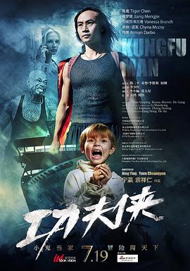 功夫侠(2013)