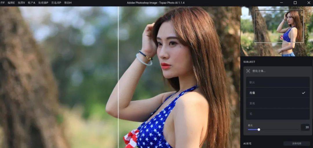 Topaz Photo AI v3.1.0便携版-吾爱文案网-第6张图片