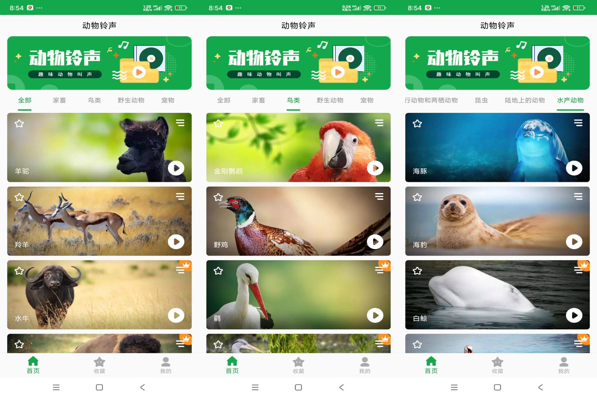 安卓动物叫声v24.04.18绿色版-吾爱文案网-第6张图片