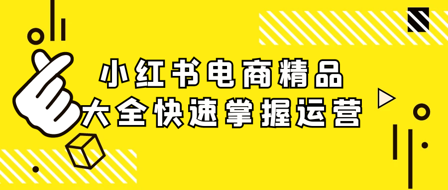 小红书电商精品大全快速掌握运营【吾爱】