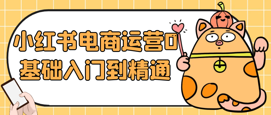 小红书电商运营0基础入门到精通【吾爱】