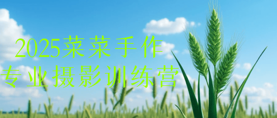 2025菜菜手作专业摄影训练营【吾爱】