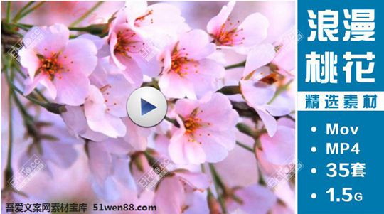 浪漫桃花4K视频剪辑素材