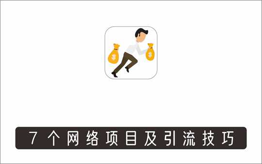 [其它项目]_7个网络项目+引流技巧
