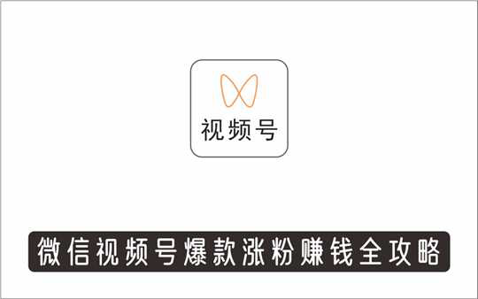 [视频项目]_玩转微信视频号爆款涨粉赚钱全攻略，快速涨粉百万变现万元秘诀