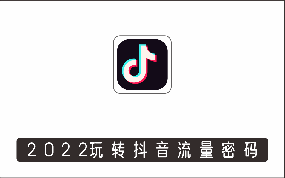 [视频项目]_2022玩转抖音流量密码